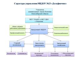 Структура управления МБДОУ №23 «Дельфинчик»